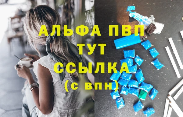 шишки Лагань