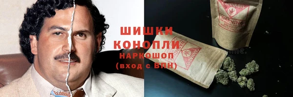 шишки Лагань