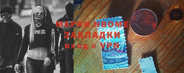 шишки Лагань