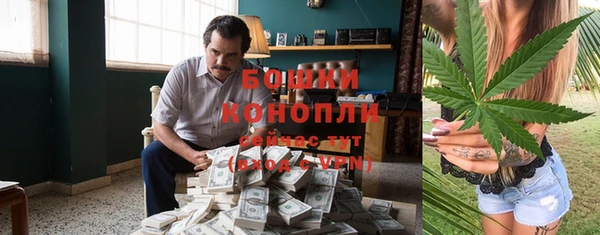 шишки Лагань
