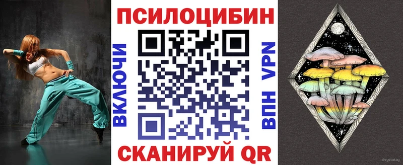 дарнет шоп  Мелеуз  Псилоцибиновые грибы мицелий 