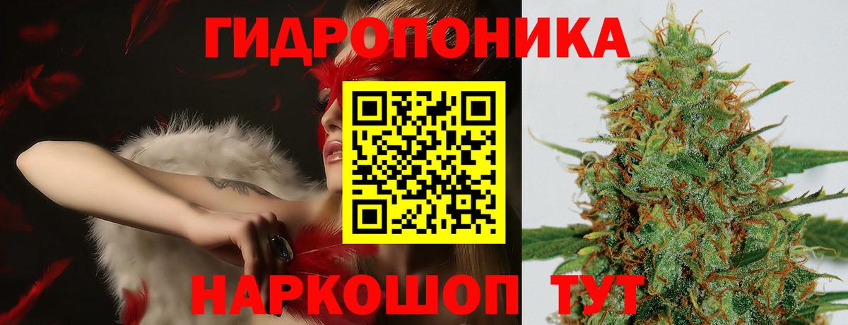 Шишки марихуана сатива  Вход с VPN  Бошки марихуана AK-47  Бошки марихуана марихуана  Мелеуз 